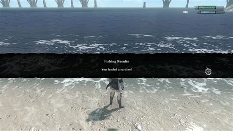 where to catch sardines nier